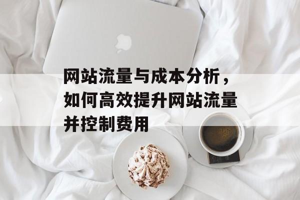 网站流量与成本分析，如何高效提升网站流量并控制费用