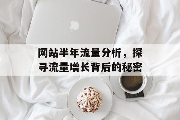 网站半年流量分析，探寻流量增长背后的秘密