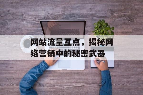 网站流量互点，揭秘网络营销中的秘密武器