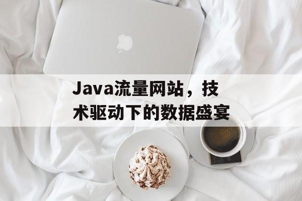 Java流量网站，技术驱动下的数据盛宴