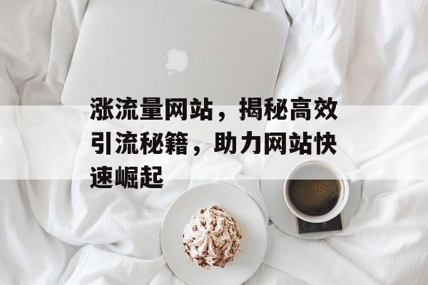 涨流量网站，揭秘高效引流秘籍，助力网站快速崛起