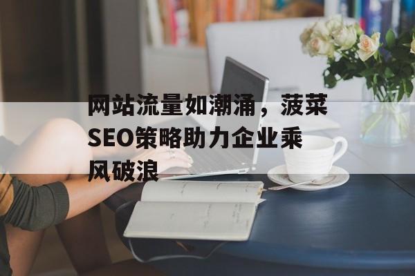 网站流量如潮涌，菠菜SEO策略助力企业乘风破浪