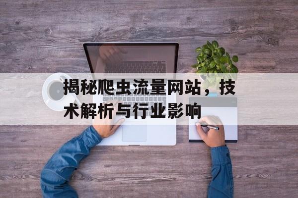 揭秘爬虫流量网站，技术解析与行业影响