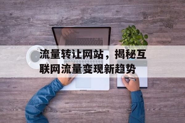 流量转让网站，揭秘互联网流量变现新趋势