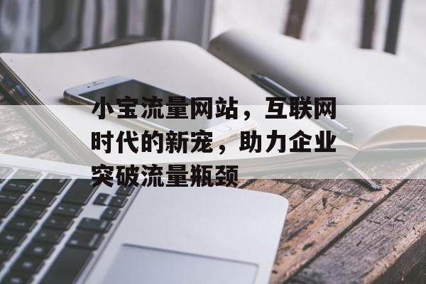 小宝流量网站，互联网时代的新宠，助力企业突破流量瓶颈