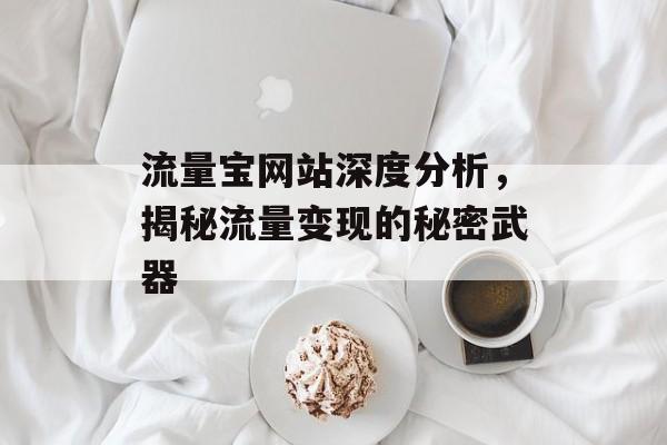 流量宝网站深度分析，揭秘流量变现的秘密武器