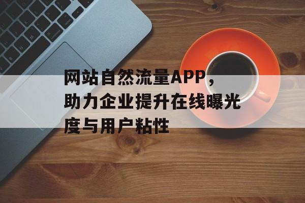 网站自然流量APP，助力企业提升在线曝光度与用户粘性