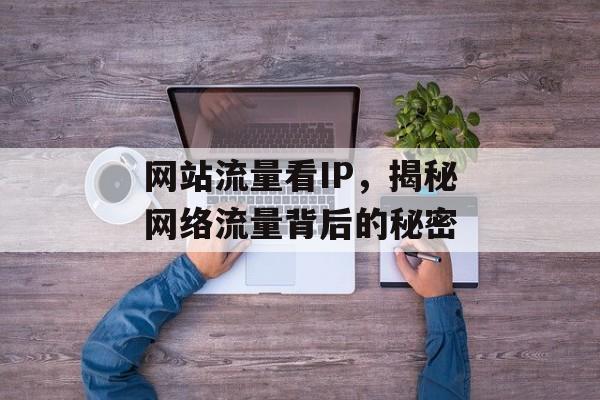 网站流量看IP，揭秘网络流量背后的秘密