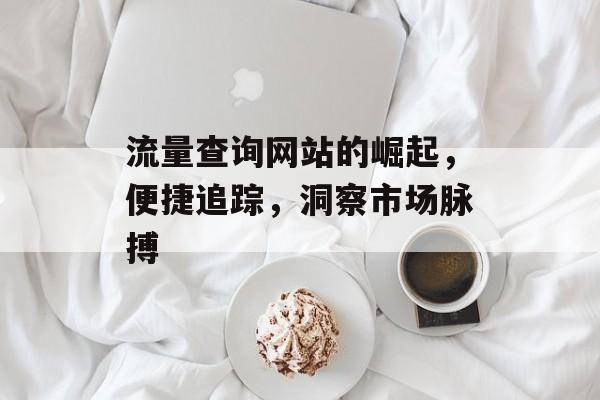 流量查询网站的崛起，便捷追踪，洞察市场脉搏