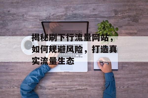 揭秘刷下行流量网站，如何规避风险，打造真实流量生态