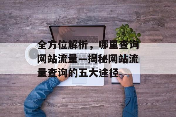 全方位解析，哪里查询网站流量—揭秘网站流量查询的五大途径