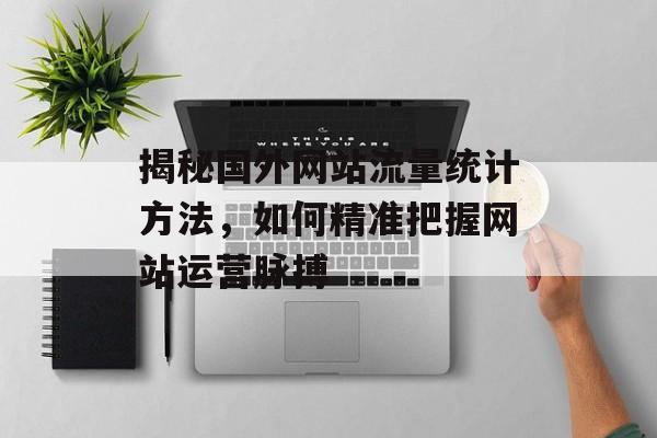 揭秘国外网站流量统计方法，如何精准把握网站运营脉搏