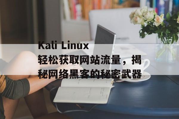 Kali Linux轻松获取网站流量，揭秘网络黑客的秘密武器
