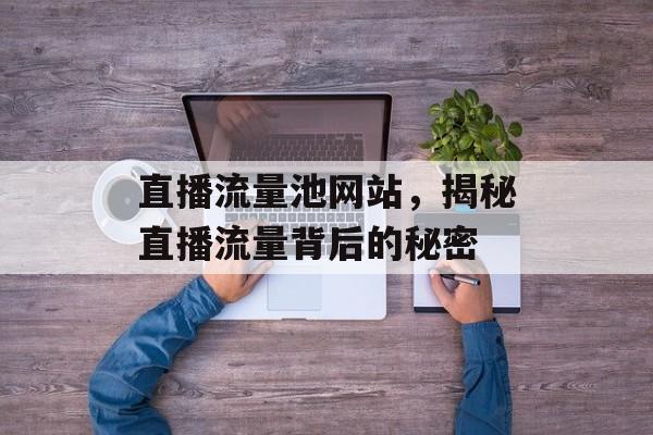 直播流量池网站，揭秘直播流量背后的秘密
