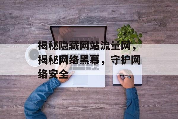 揭秘隐藏网站流量网，揭秘网络黑幕，守护网络安全