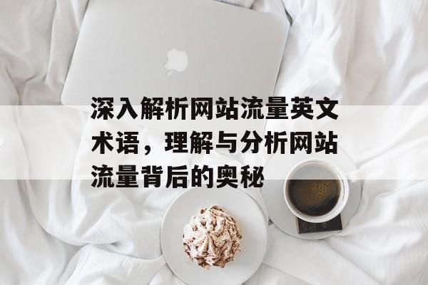 深入解析网站流量英文术语，理解与分析网站流量背后的奥秘