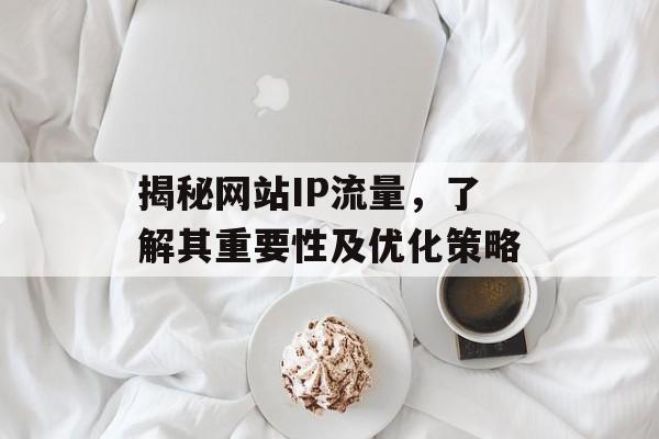 揭秘网站IP流量，了解其重要性及优化策略