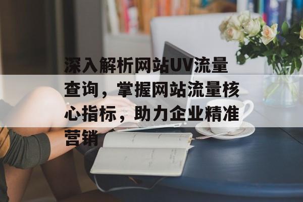 深入解析网站UV流量查询，掌握网站流量核心指标，助力企业精准营销