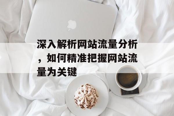 深入解析网站流量分析，如何精准把握网站流量为关键