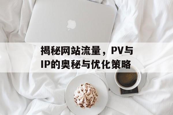 揭秘网站流量，PV与IP的奥秘与优化策略