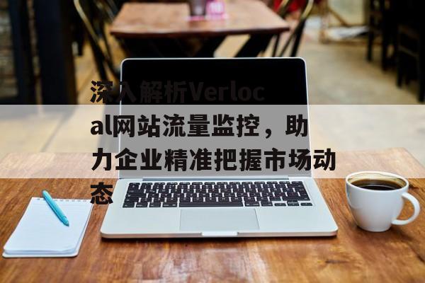 深入解析Verlocal网站流量监控，助力企业精准把握市场动态