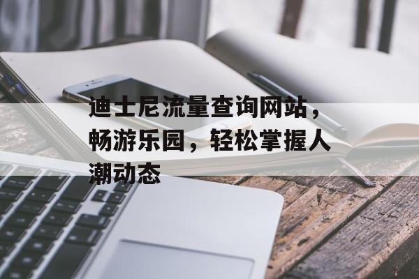迪士尼流量查询网站，畅游乐园，轻松掌握人潮动态