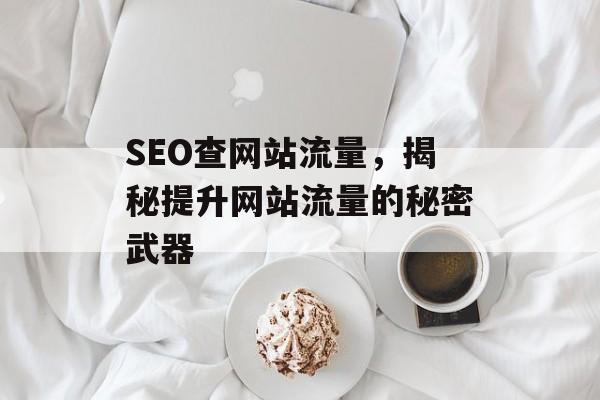 SEO查网站流量，揭秘提升网站流量的秘密武器