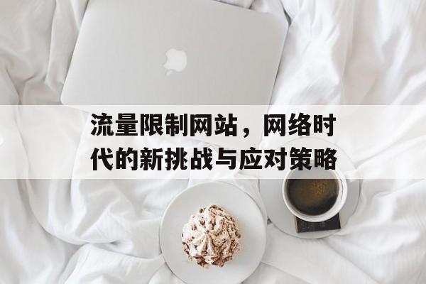 流量限制网站，网络时代的新挑战与应对策略