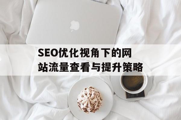 SEO优化视角下的网站流量查看与提升策略