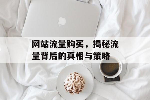 网站流量购买，揭秘流量背后的真相与策略