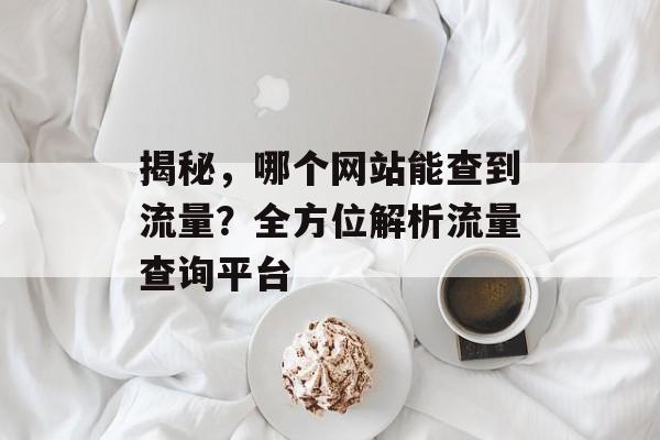 揭秘，哪个网站能查到流量？全方位解析流量查询平台