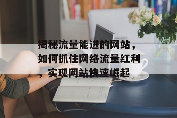 揭秘流量能进的网站，如何抓住网络流量红利，实现网站快速崛起