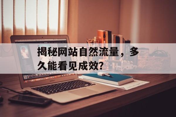 揭秘网站自然流量，多久能看见成效？