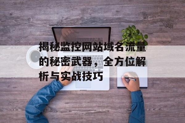 揭秘监控网站域名流量的秘密武器，全方位解析与实战技巧