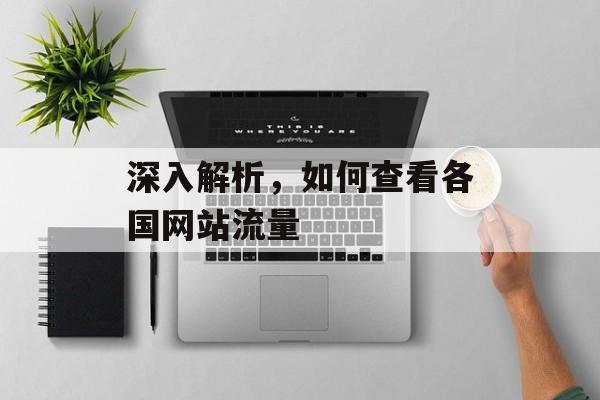 深入解析，如何查看各国网站流量