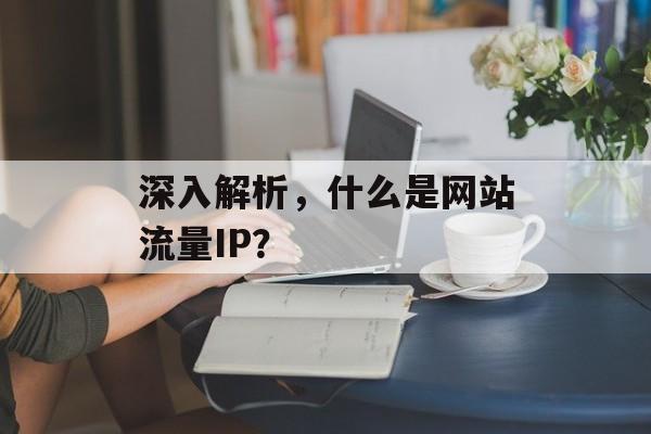 深入解析，什么是网站流量IP？