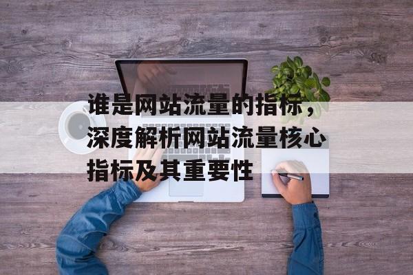 谁是网站流量的指标，深度解析网站流量核心指标及其重要性