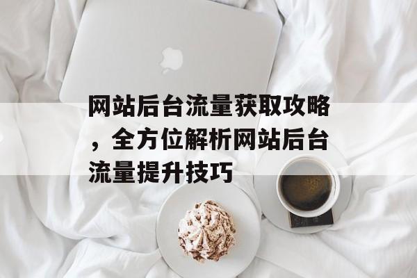 网站后台流量获取攻略，全方位解析网站后台流量提升技巧