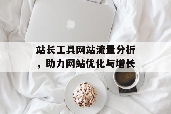 站长工具网站流量分析，助力网站优化与增长
