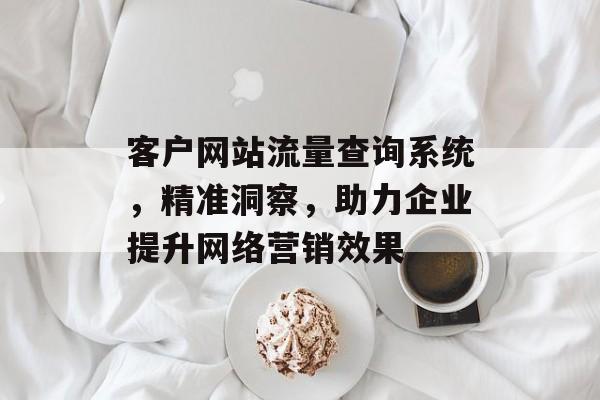 客户网站流量查询系统，精准洞察，助力企业提升网络营销效果
