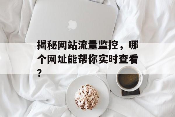 揭秘网站流量监控，哪个网址能帮你实时查看？