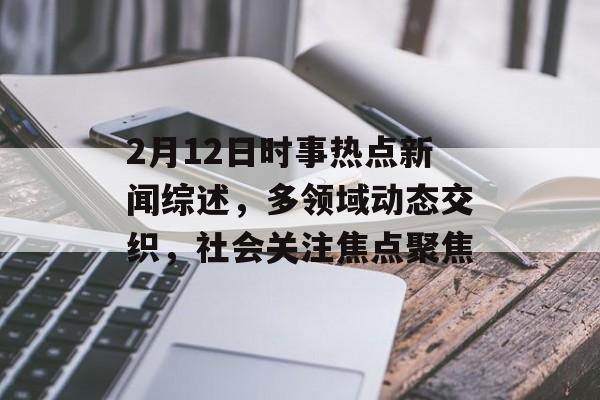 2月12日时事热点新闻综述，多领域动态交织，社会关注焦点聚焦