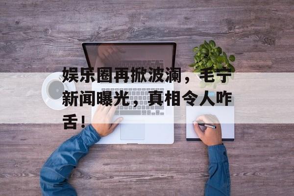 娱乐圈再掀波澜，毛宁新闻曝光，真相令人咋舌！