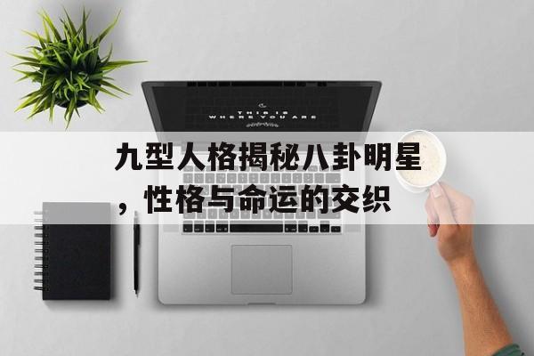 九型人格揭秘八卦明星，性格与命运的交织