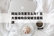 网站没流量怎么办？五大策略助你突破流量瓶颈
