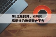 NB流量网站，引领网络潮流的流量聚合平台