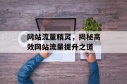 网站流量精灵，揭秘高效网站流量提升之道