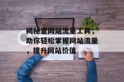 揭秘查网站流量工具，助你轻松掌握网站流量，提升网站价值