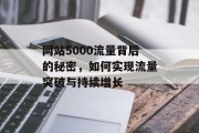网站5000流量背后的秘密，如何实现流量突破与持续增长