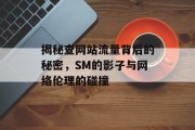 揭秘查网站流量背后的秘密，SM的影子与网络伦理的碰撞